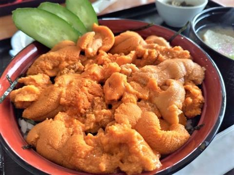 3日目昼食：うに丼